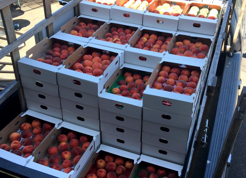 Millions of Peaches, Peaches for Me Ashland Food Coop